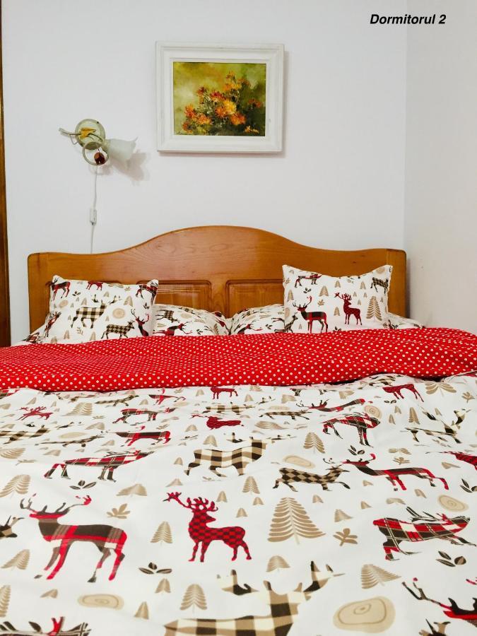 Apartament Veverite Слэник-Молдова Экстерьер фото